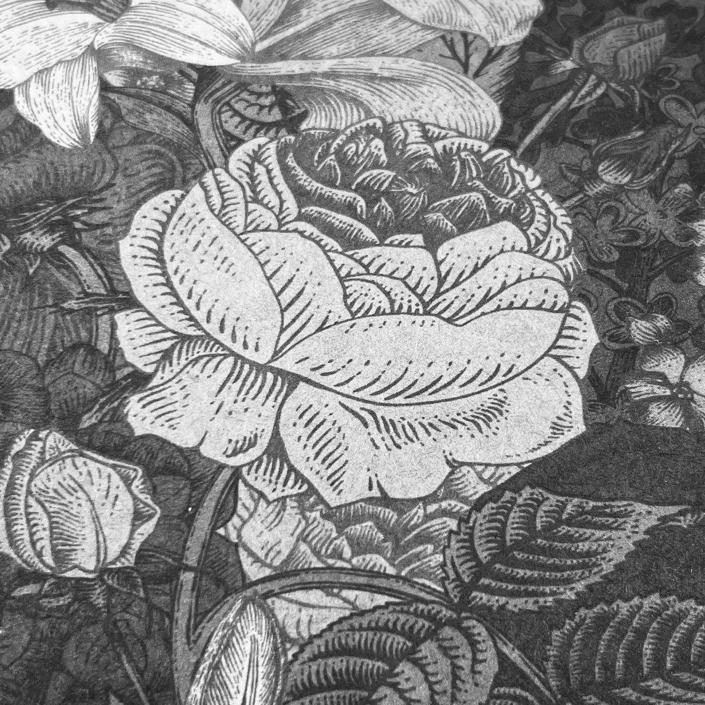 Roses Scent Box