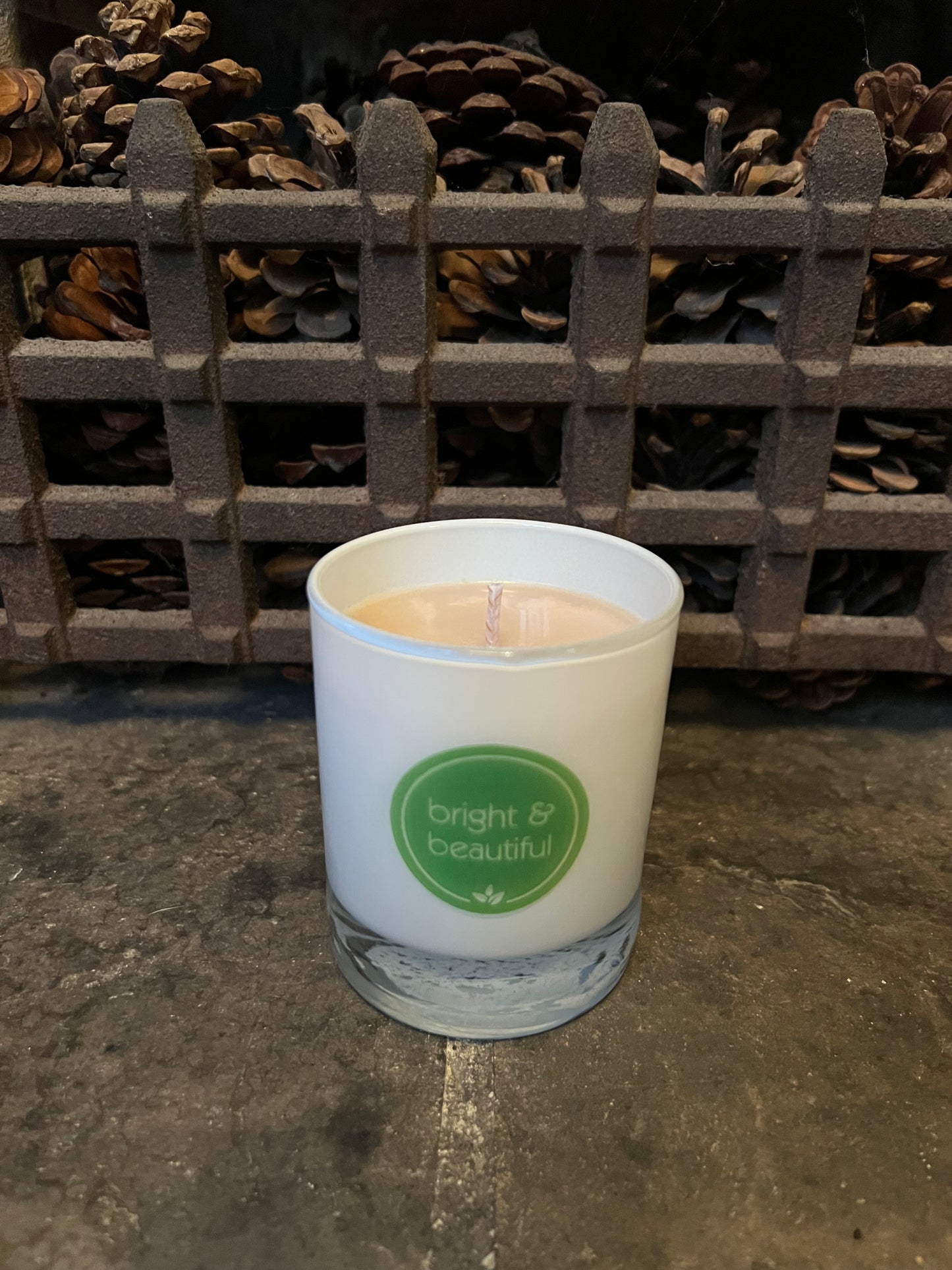 Warm Woods and Cashmere Candle