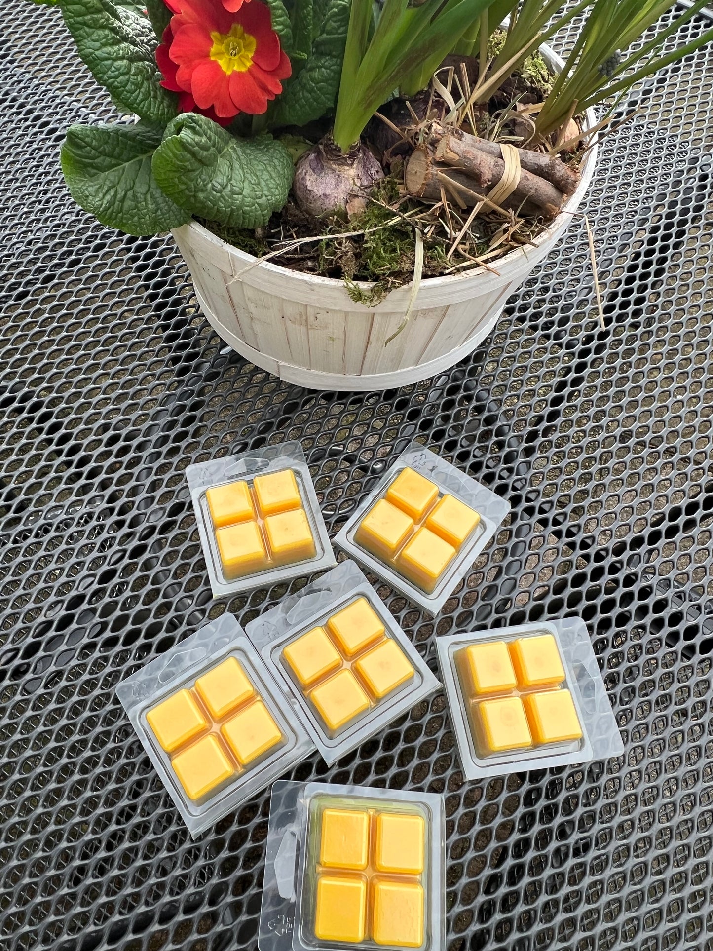 Sunshine Wax Melts
