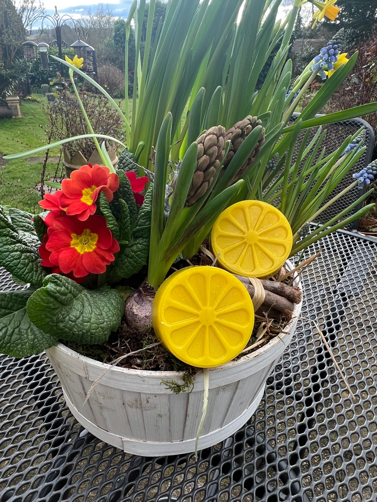 Tutti Frutti