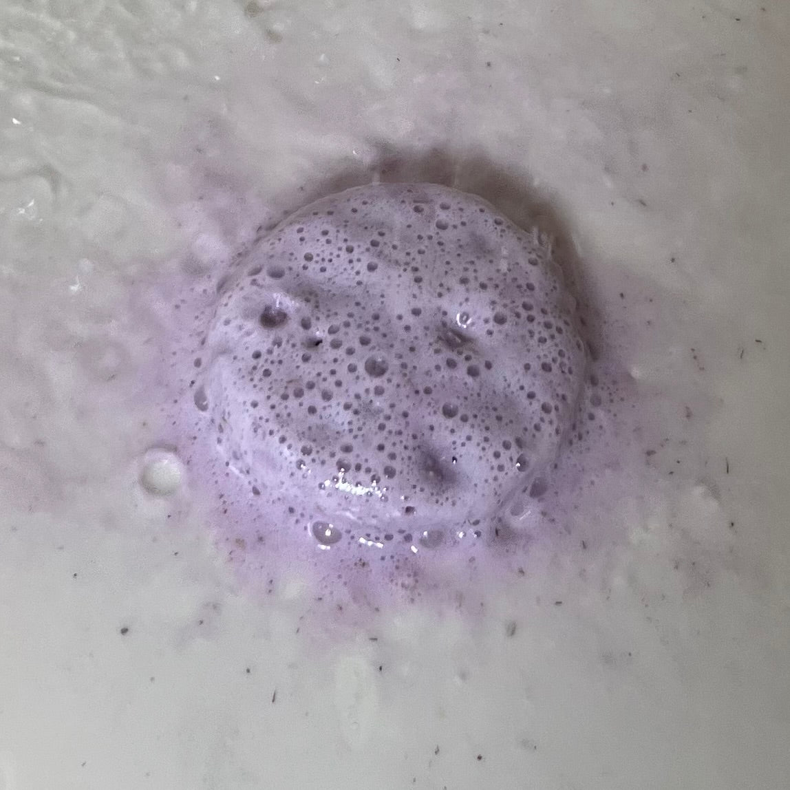 Cedar & Eucalyptus Shower Steamer